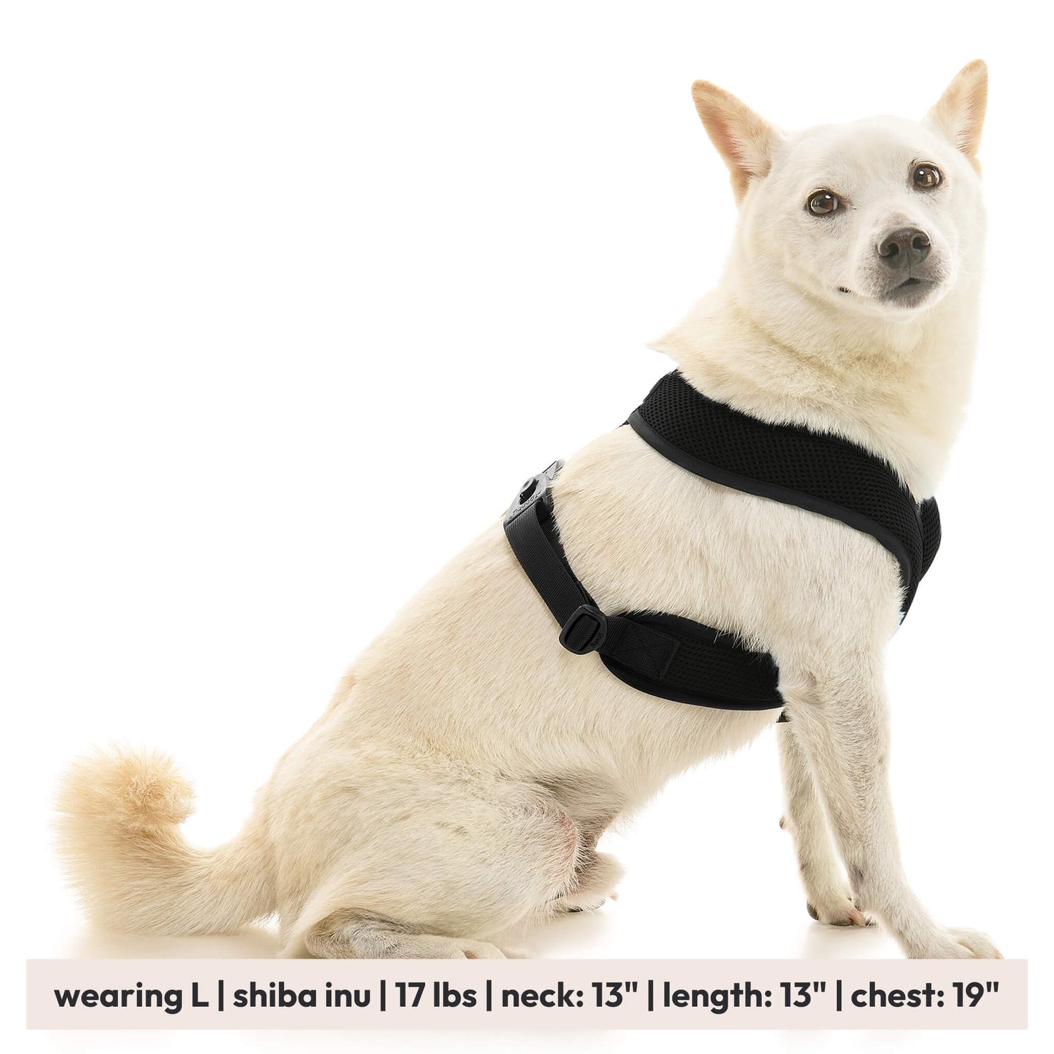 Comfort X Dual Snap Mesh from Gooby