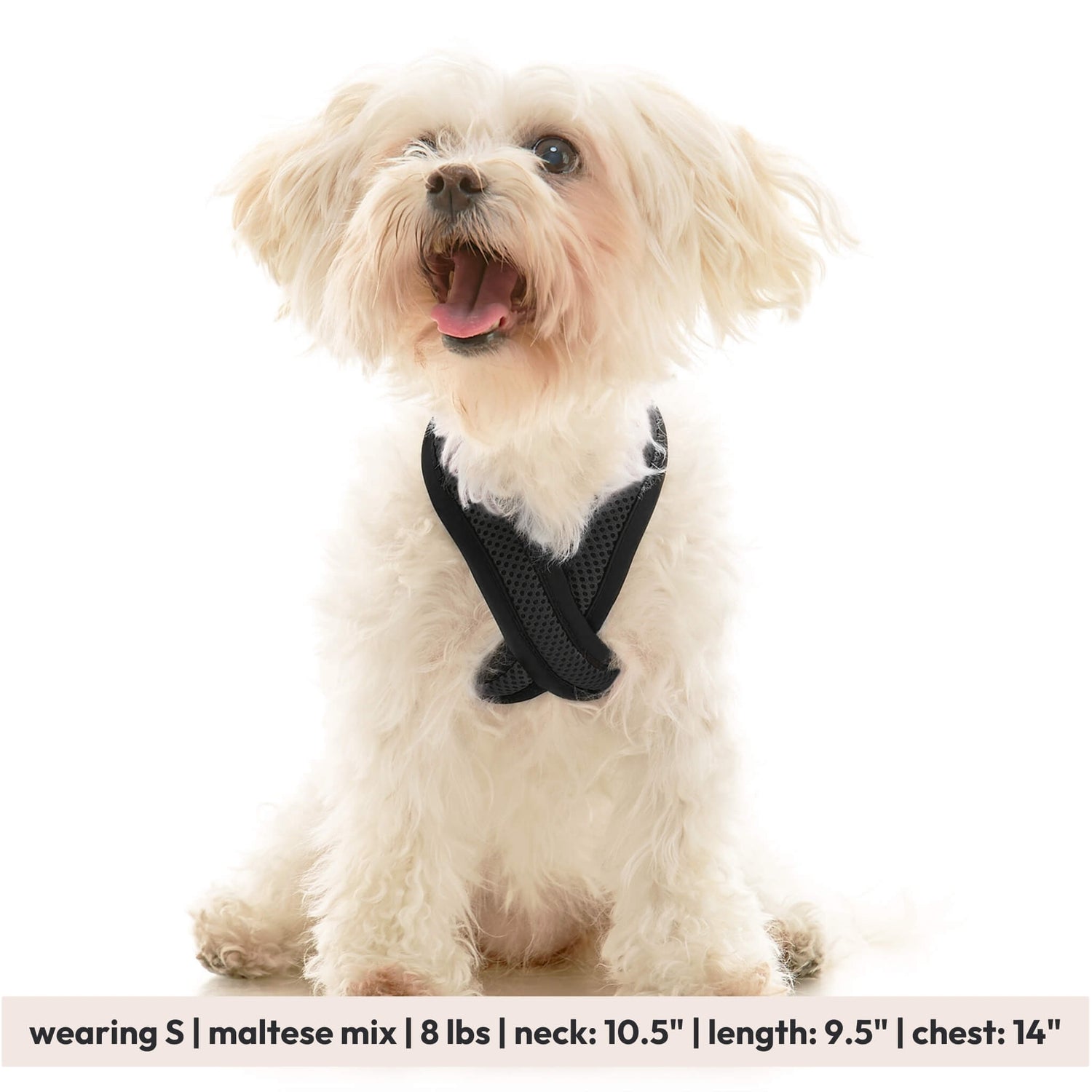 Comfort X Dual Snap Mesh from Gooby