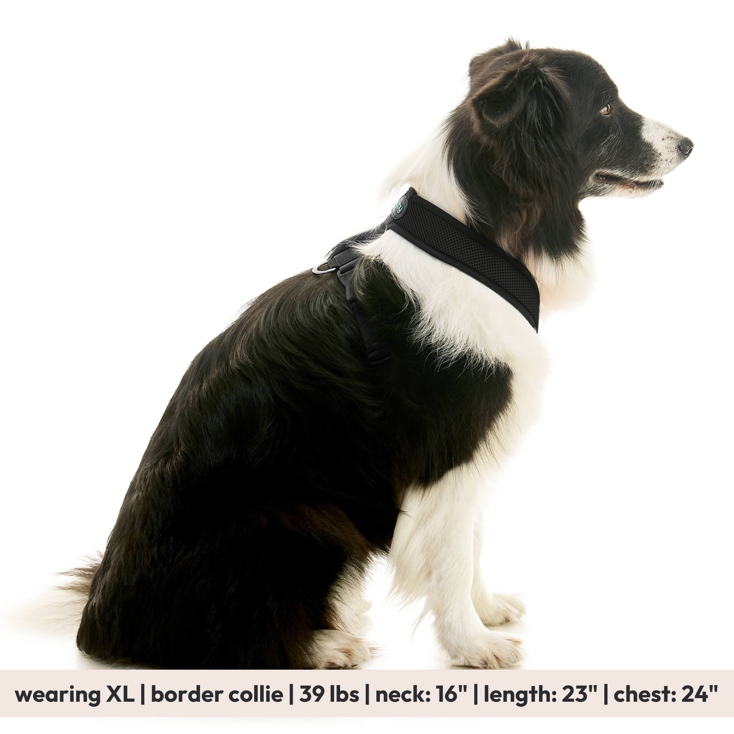 Comfort X Dual Snap Mesh from Gooby