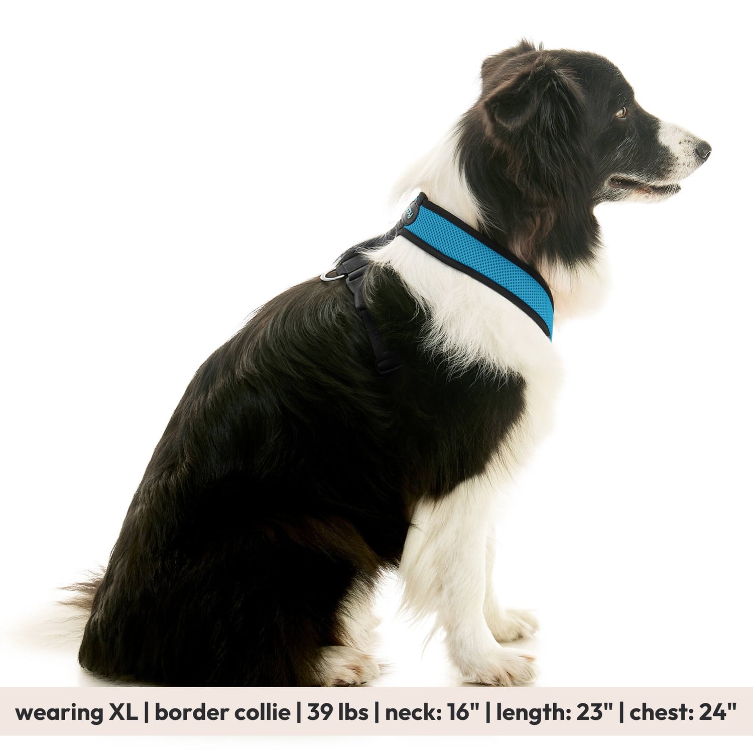 Comfort X Dual Snap Mesh from Gooby