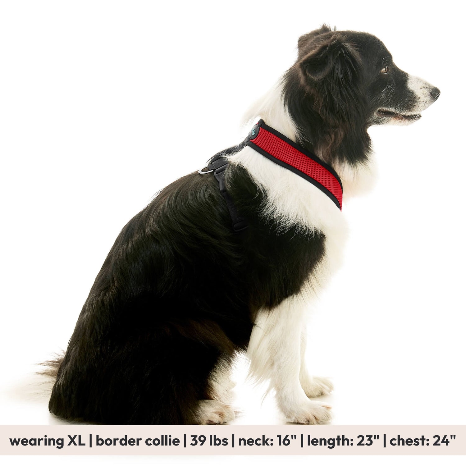 Comfort X Dual Snap Mesh from Gooby