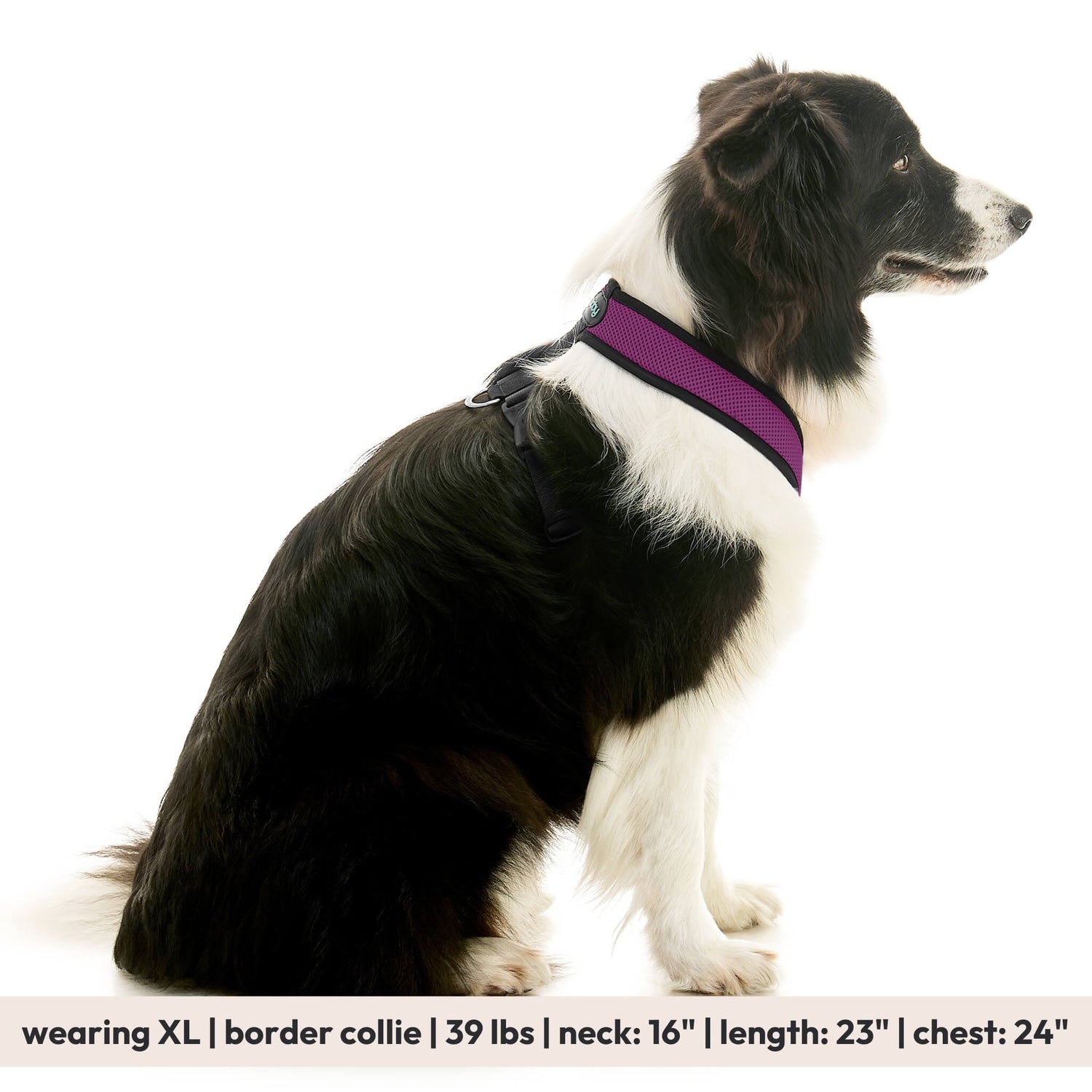 Comfort X Dual Snap Mesh from Gooby