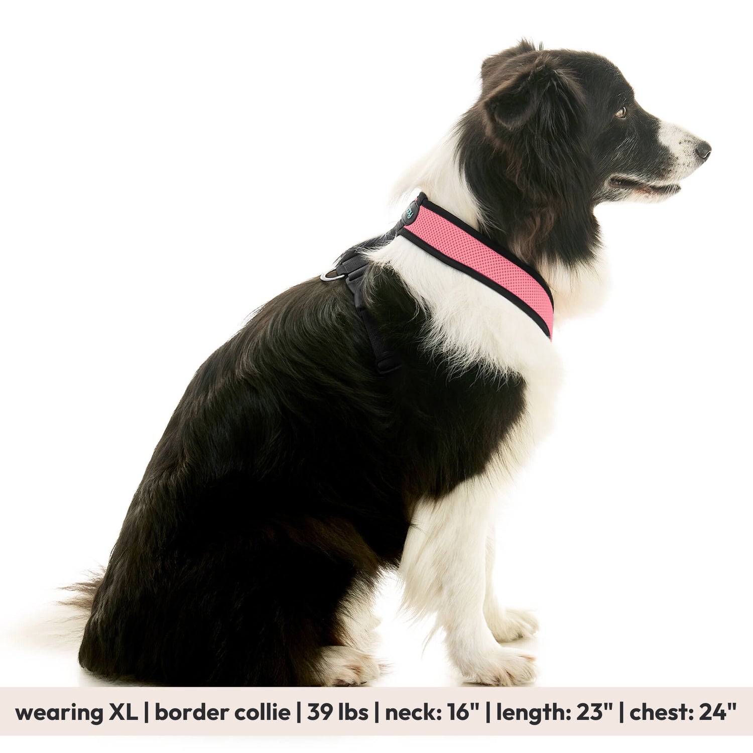 Comfort X Dual Snap Mesh from Gooby