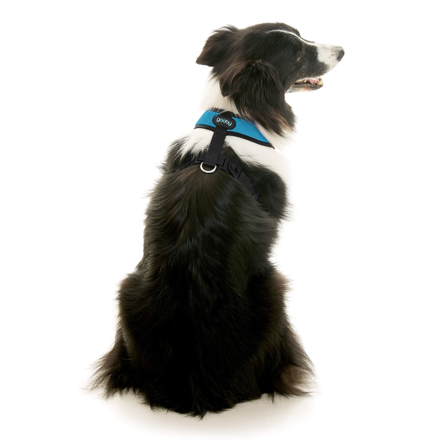 Comfort X Dual Snap Mesh from Gooby