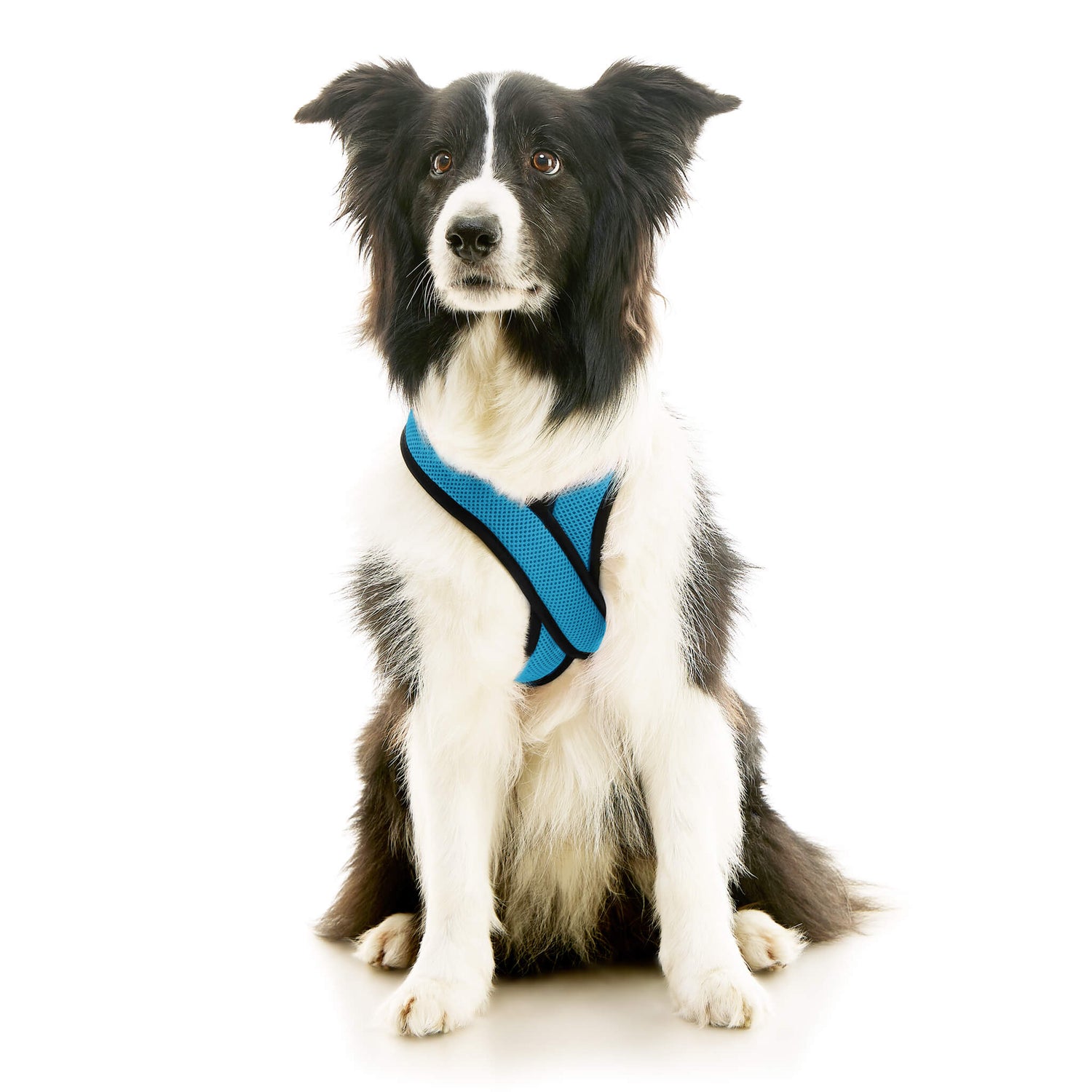 Comfort X Dual Snap Mesh from Gooby