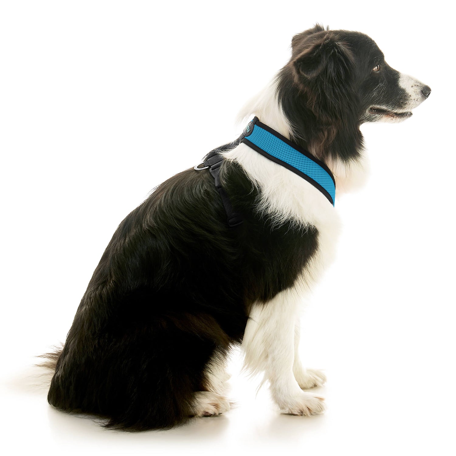 Comfort X Dual Snap Mesh from Gooby