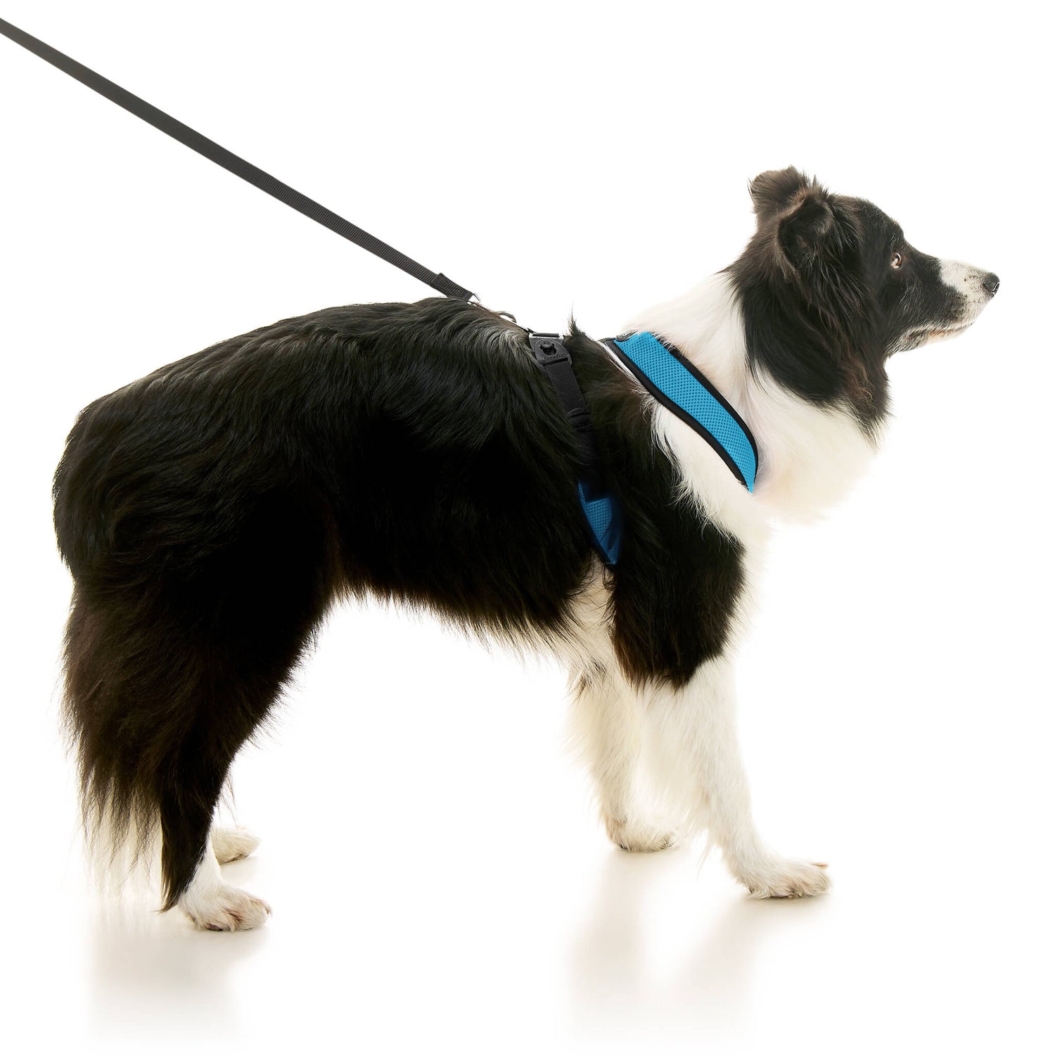 Comfort X Dual Snap Mesh from Gooby