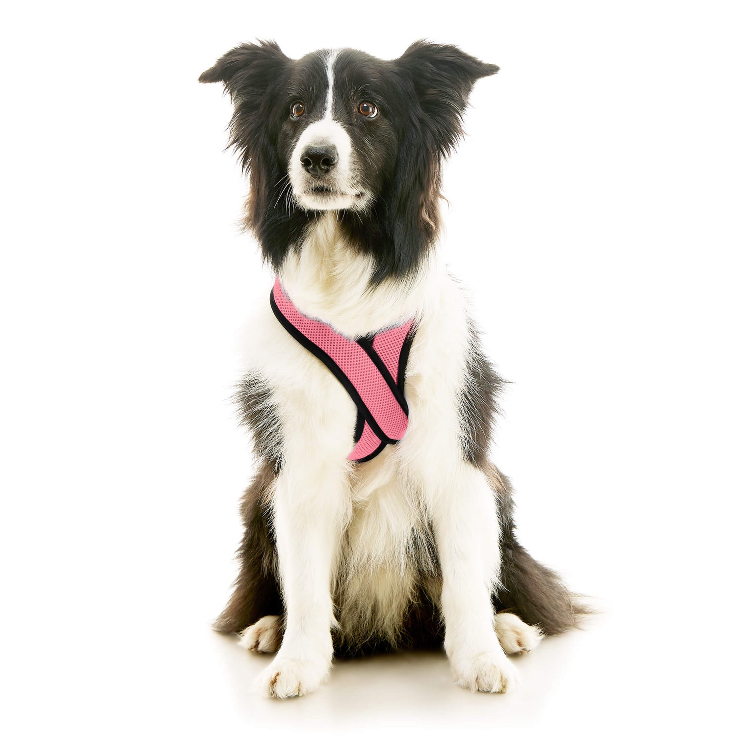 Comfort X Dual Snap Mesh from Gooby