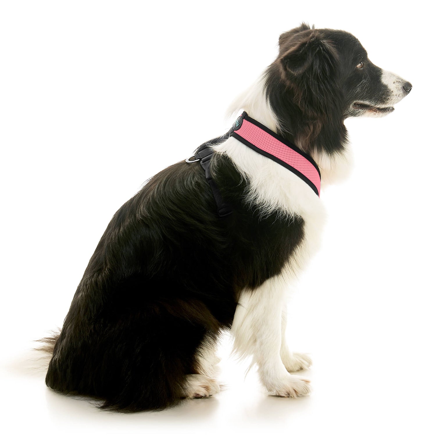 Comfort X Dual Snap Mesh from Gooby