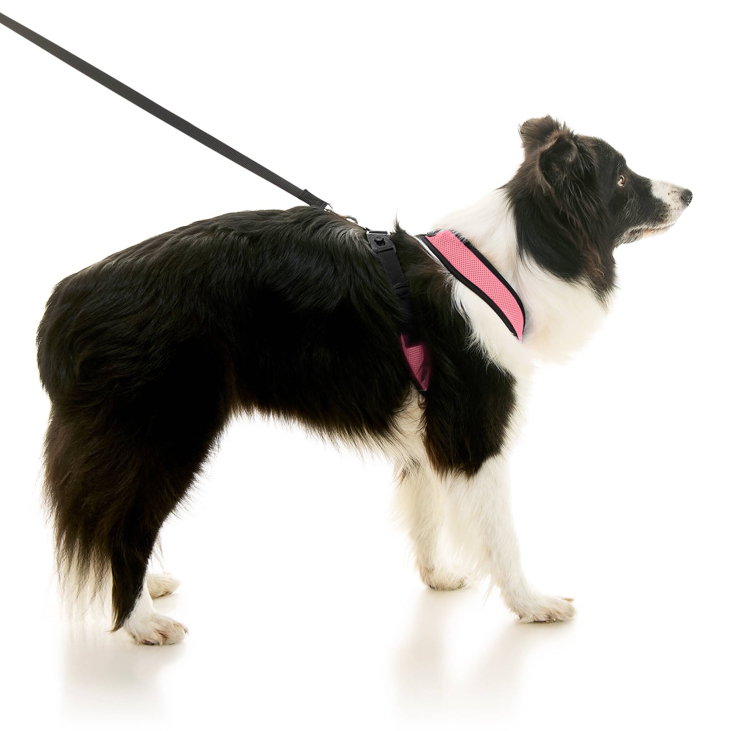 Comfort X Dual Snap Mesh from Gooby