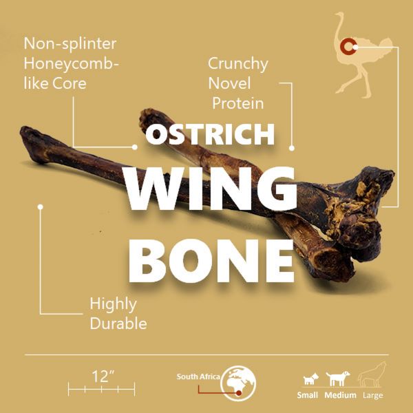 Ostrich Wing Bone (13" x 1.5"): The Ultimate Long-Lasting Chew for Small Dogs & Light Chewers from Savannah Pet Food
