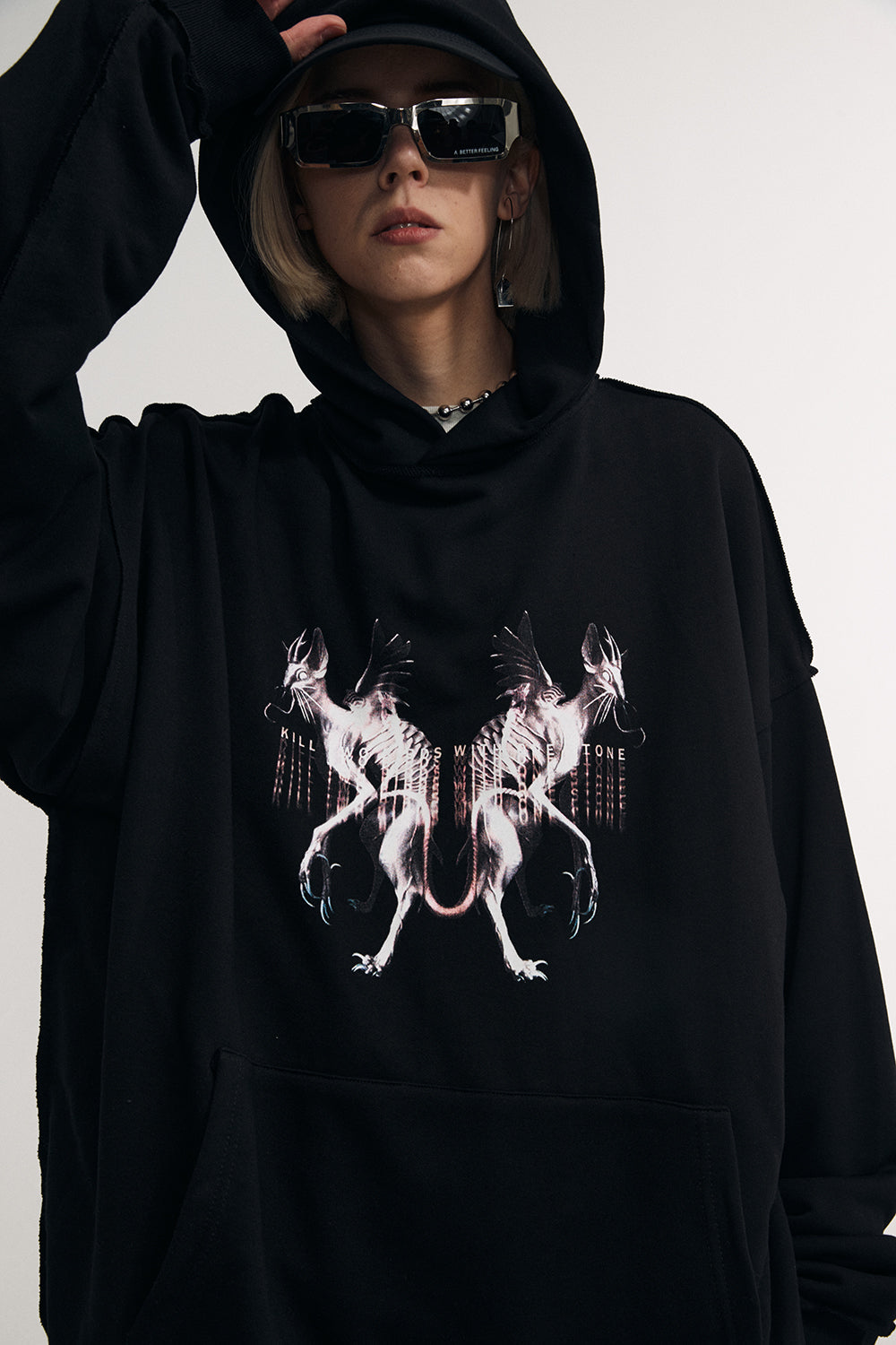 Flying Devil Cats Hoodie From Niepce Inc
