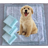 Mr. Peanut’s Premium Absorbent Gel Pee Pads 23"X23", 6 Layers of Lightly Scented Protection from Mr. Peanut's Pet Carriers