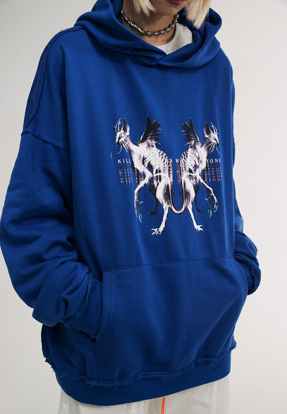 Flying Devil Cats Hoodie From Niepce Inc