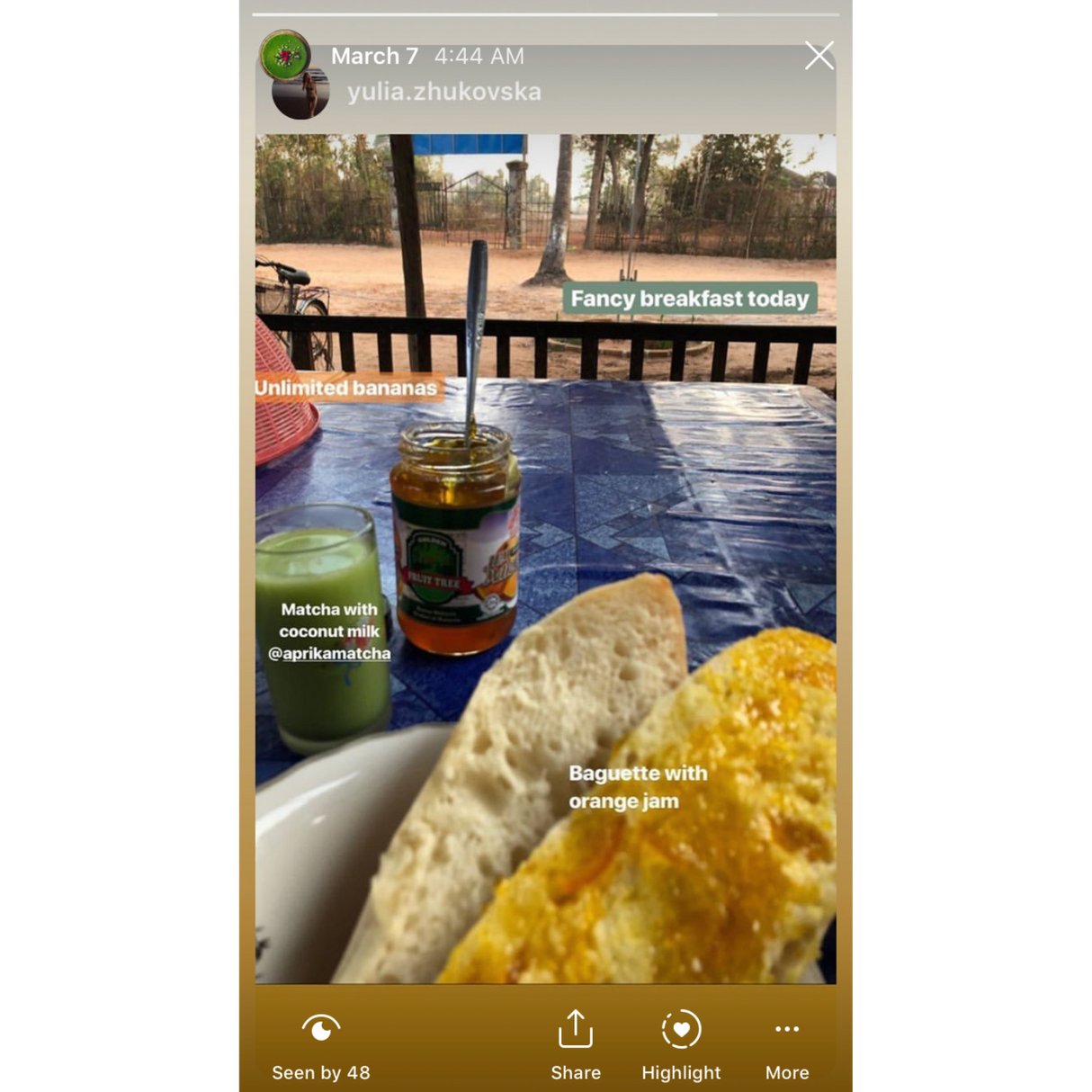 Organic Japanese Matcha Green Tea Powder from Aprika Life