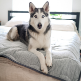 PupChill™ Cooling Waterproof Blanket - Arctic Grey from Paw.com