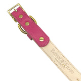 Plain Leather Dog Collar from Bonne et Filou