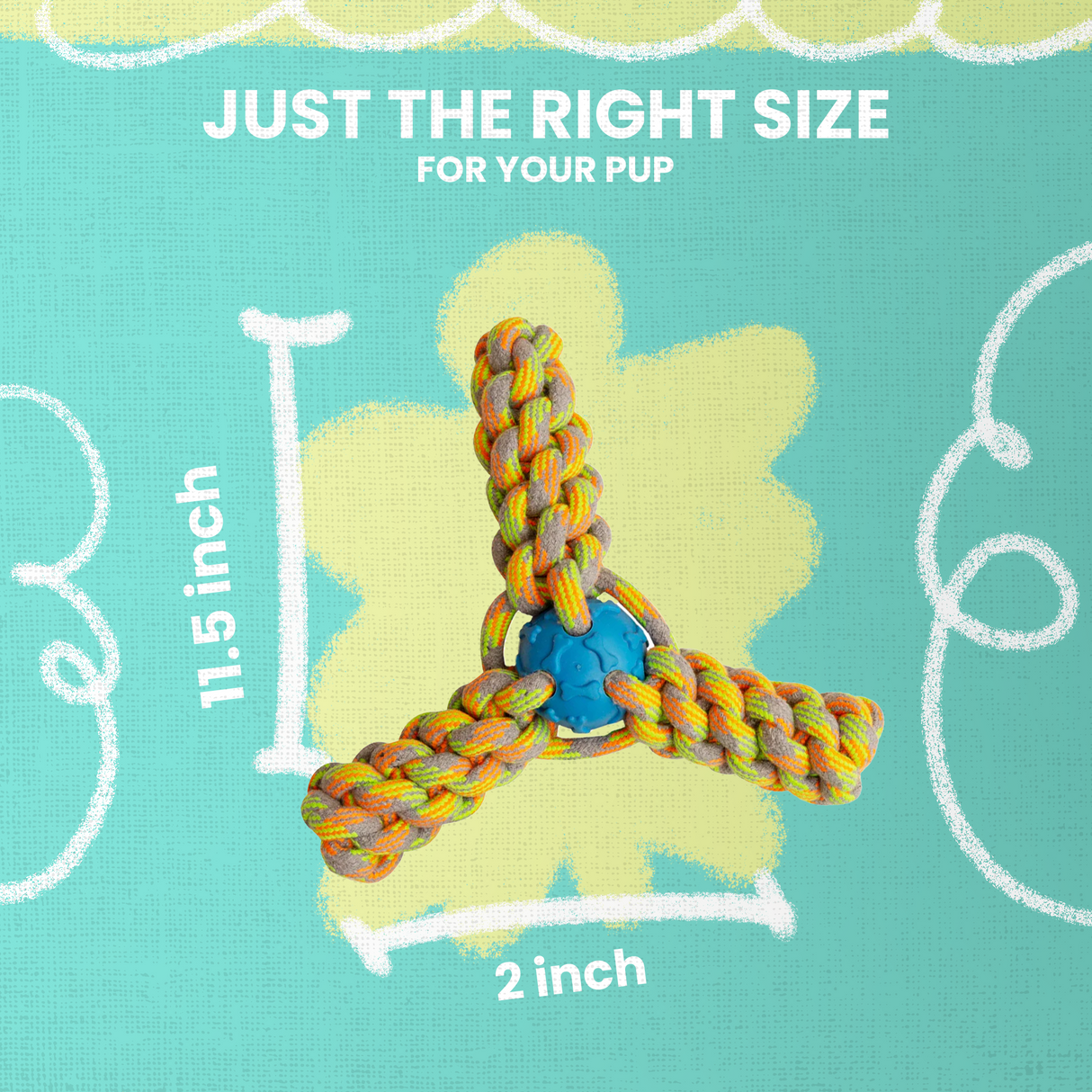 Fling 'N Fun from Health Extension