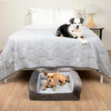 PupChill™ Cooling Bolster Dog Bed + Waterproof Blanket Bundle - Arctic Grey from Paw.com