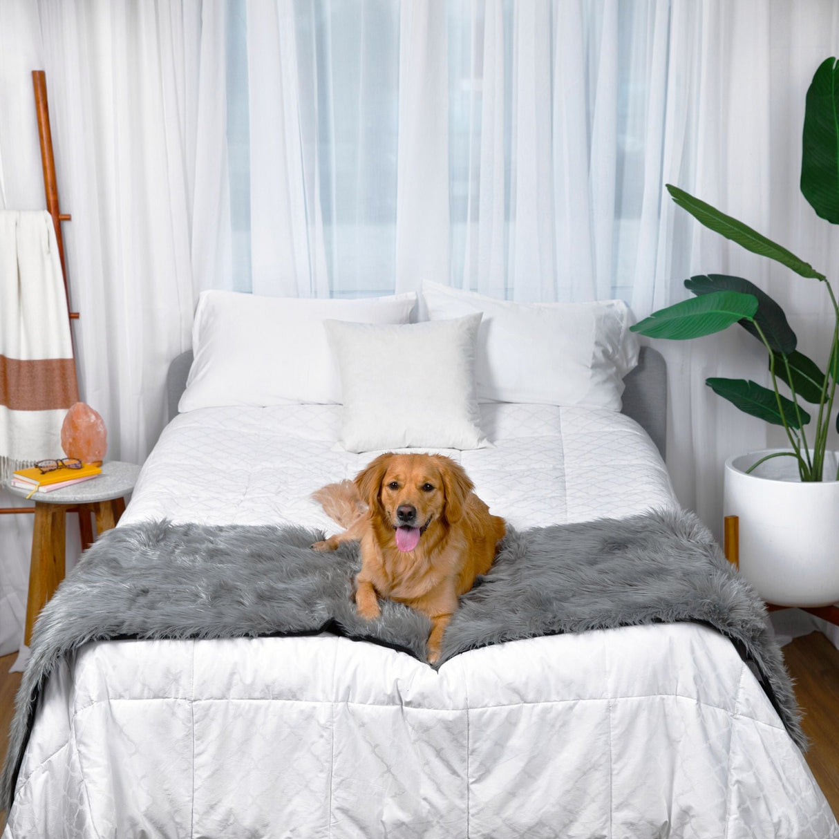 PupProtector™ Waterproof Bed Runner - Charcoal Grey from Paw.com