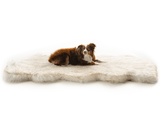 PupRug™ Runner Faux Fur Memory Foam Dog Bed - Curve White with Brown Accents From Paw.com