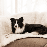 PupProtector™ Waterproof Throw Blanket - Polar White from Paw.com