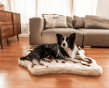PupRug™ Animal Print Memory Foam Dog Bed - Brown Faux Cowhide From Paw.com