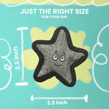Kitty Starfish with Catnip from Health Extension