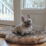 PupRug by Paw.com™ Faux Fur Orthopedic Dog Bed - Curve Sable Tan from Paw.com