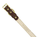 Plain Leather Dog Collar from Bonne et Filou