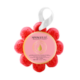 Grapefruit Cassis | Wild Flower from Spongellé