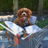PupTote™ 3-in-1 Faux Leather Dog Carrier Bag - Black From Paw.com