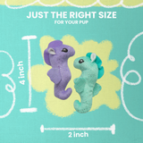 Kitty Seahorse 2pk with Catnip from Health Extension