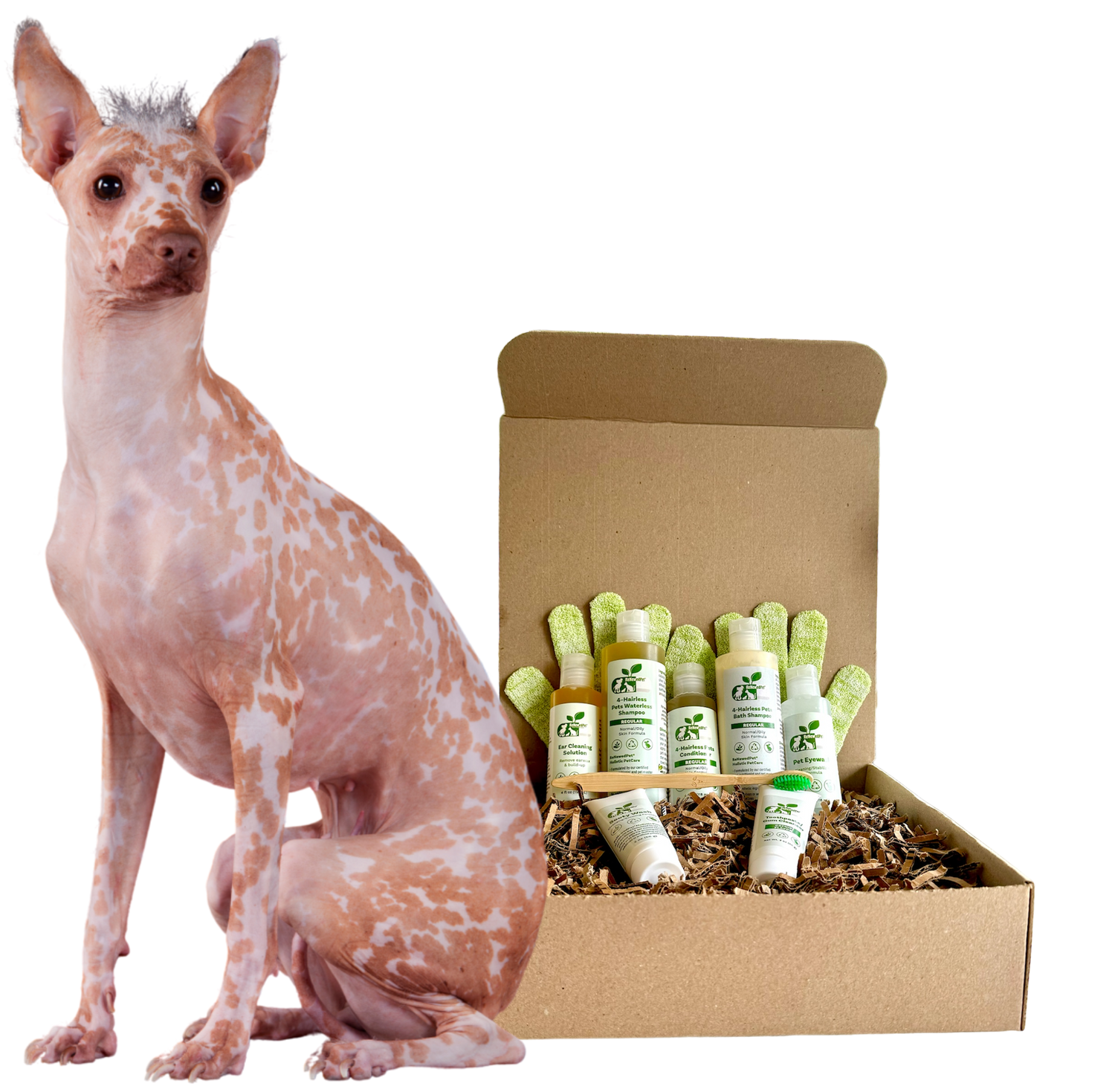 4-HAIRLESS PETS *DOG REGULAR KIT from ReNewedPet