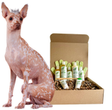 4-HAIRLESS PETS *DOG REGULAR KIT from ReNewedPet