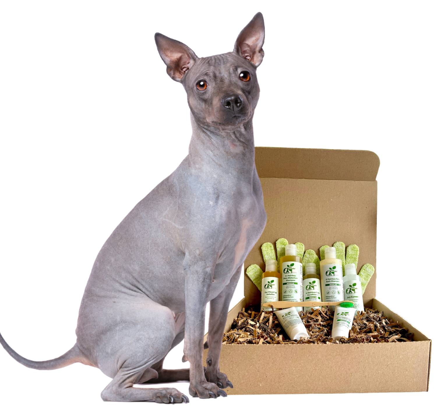 4-HAIRLESS PETS *DOG RESTORATIVE KIT from ReNewedPet