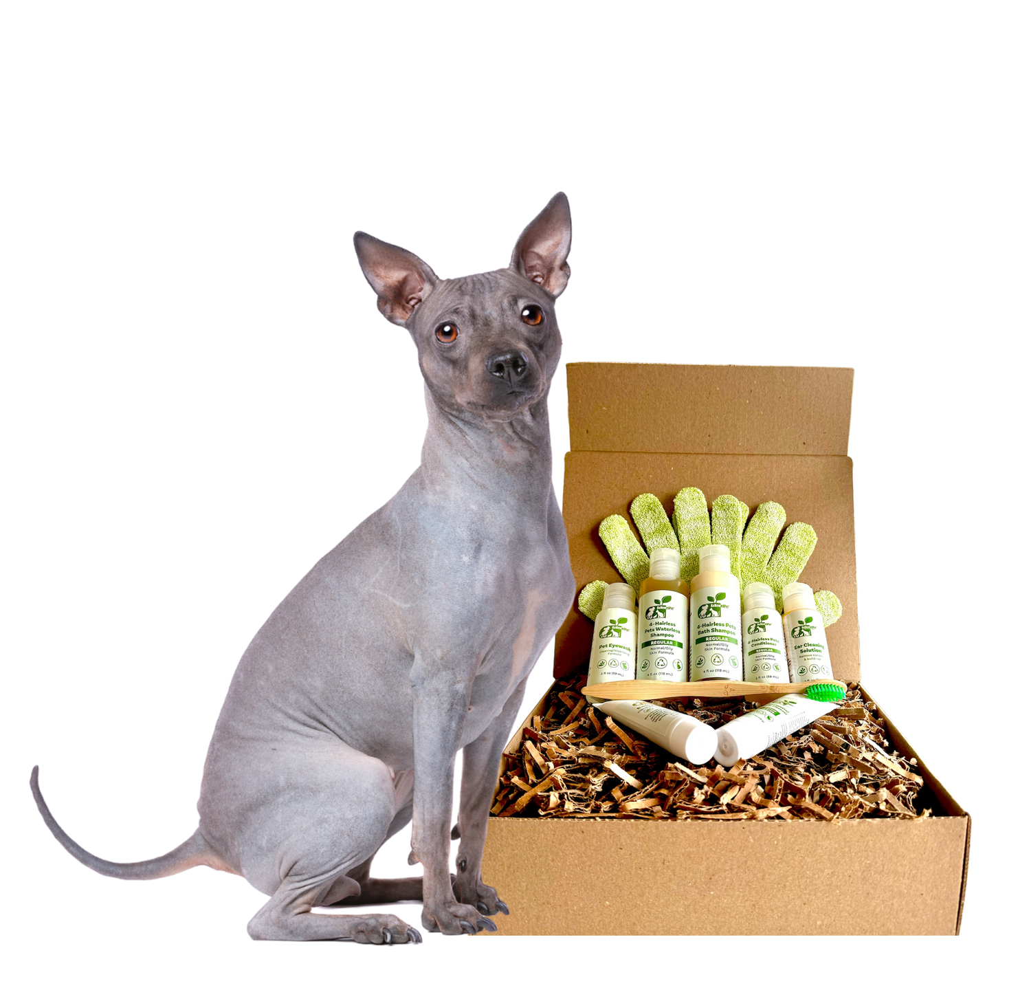 4-HAIRLESS PETS *DOG RESTORATIVE KIT from ReNewedPet