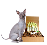 4-HAIRLESS PETS *DOG RESTORATIVE KIT from ReNewedPet