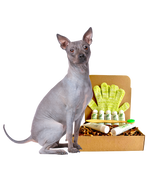 4-HAIRLESS PETS *DOG RESTORATIVE KIT from ReNewedPet