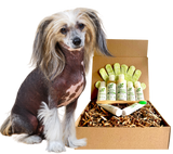 4-HAIRLESS PETS *DOG SENSITIVE KIT from ReNewedPet
