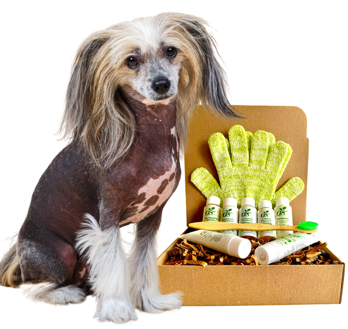 4-HAIRLESS PETS *DOG SENSITIVE KIT from ReNewedPet