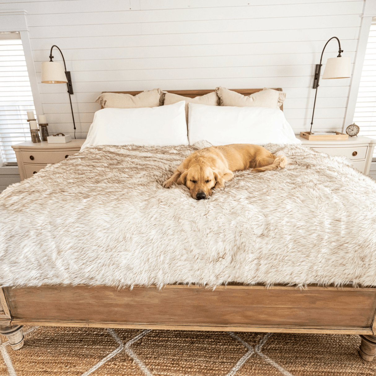 PupCloud™ Human-Size Dog Bed + Matching Waterproof Blanket Bundle - White with Brown Accents from Paw.com