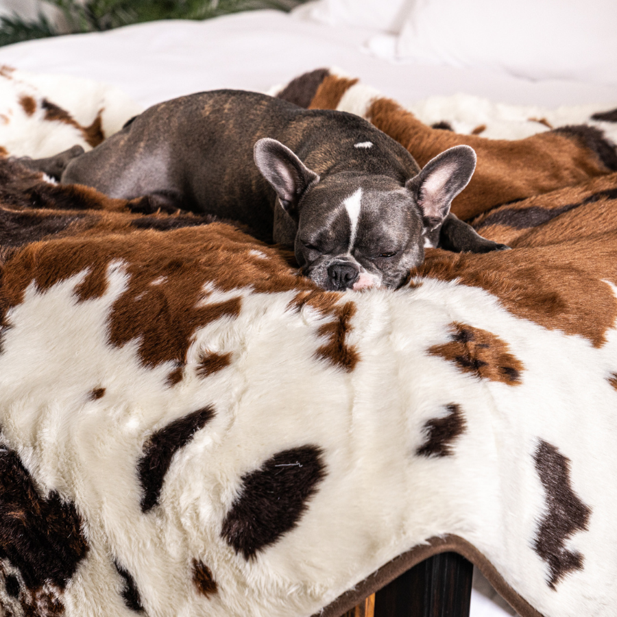 PupProtector™ Waterproof Throw Blanket - Brown Faux Cowhide from Paw.com
