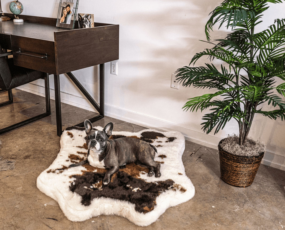 PupRug™ Animal Print Memory Foam Dog Bed - Brown Faux Cowhide From Paw.com