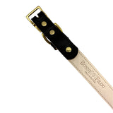 Plain Leather Dog Collar from Bonne et Filou