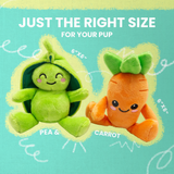 Pea and Carrot 2pk from Health Extension