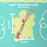 Fling 'N Floss from Health Extension
