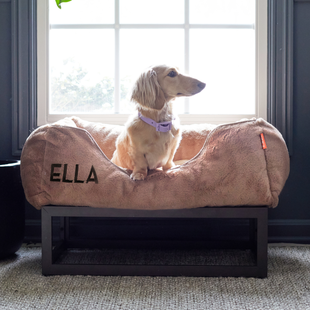 The FÜZI Dog Bed from FÜZI