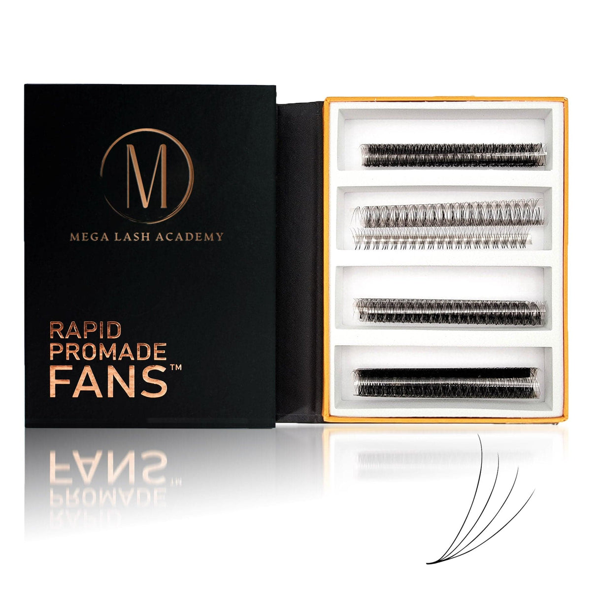 Mix Rapid 4D Promade Fans® - 1000 Fans from Mega Lash Academy