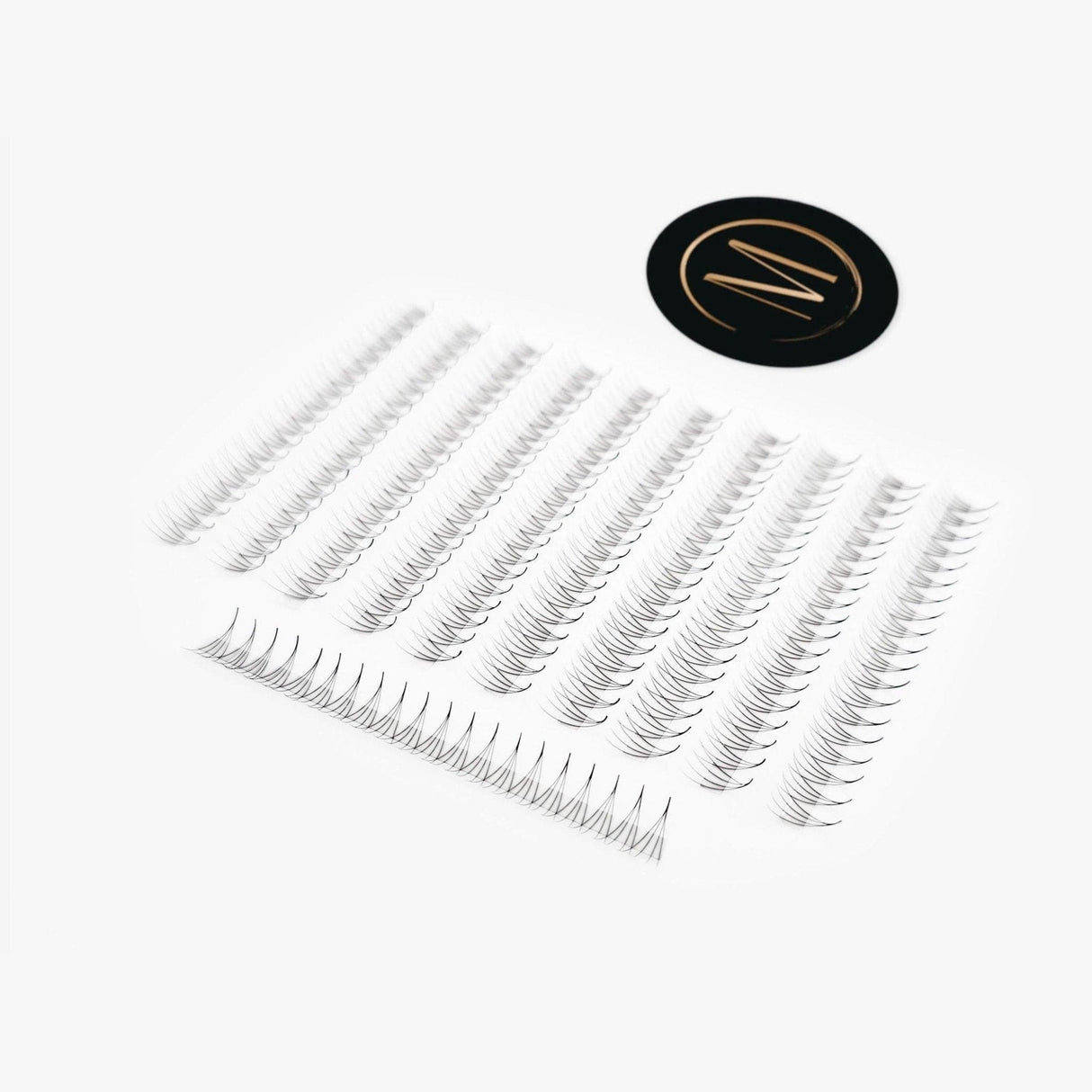 Rapid 4D Promade Fans® - 1000 Fans from Mega Lash Academy